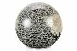 Polished Graphic Tourmaline Sphere - Madagascar #241125-1